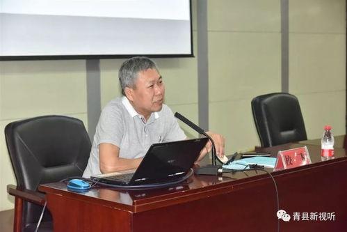 青县爆料最新消息新闻,突发新闻事件引发社会关注